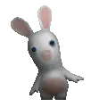 rabbidwobble