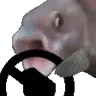 pogfish