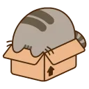 pusheen_Boxrot