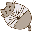 pusheen_crazy