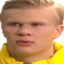 haalandwat Discord emoji