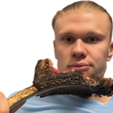 haaland Discord emoji