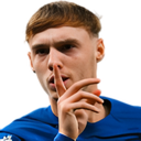 palmer Discord emoji