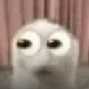 __