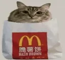 hashbrown
