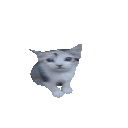 778639lalacat