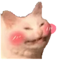 pigblush