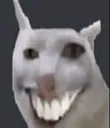 HEHEHE