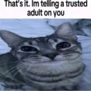 trustedadult trustedadult