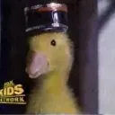 duc