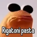 rigatonipasta