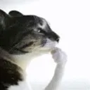 thinkin