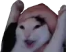 wahoo