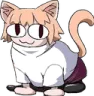 weirdlookingcat weirdlookingcat