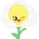 Bbokari_Flower
