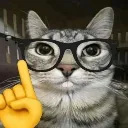 nerdcat