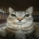 randomquestionbutdoesanyonehavev