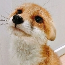 Euhbahzeze Discord Emoji - RAYNIES