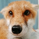 Pouqwatumeregardetoi Discord Emoji | RAYNIES