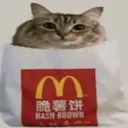 hash_brown