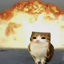 meowlexplode meowlexplode