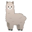llama