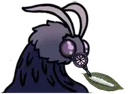 highmoth