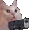 3691catgun