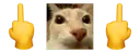 fu