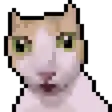 CatShock