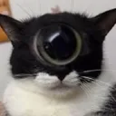 supah_glorp
