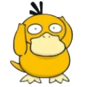 psyduck