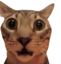 0_0