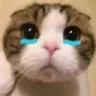 blackycry