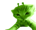 GlorpSelfie