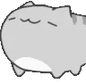 tabbynod