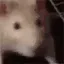 sp_ratJAM