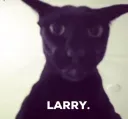 larry