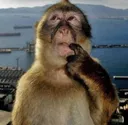 thinkingkey