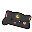 DI_b_bongocat_DNS