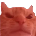 angrycat
