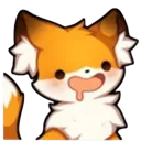 fox_what