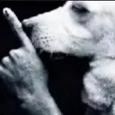 w_shhhh