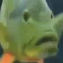 dumbfounded