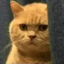 Im_watching_you