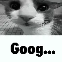 Goog