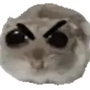 angry_hampter angry_hampter