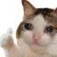 CatThumbsUp