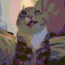 4238catpee