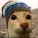 gatohuhperuano